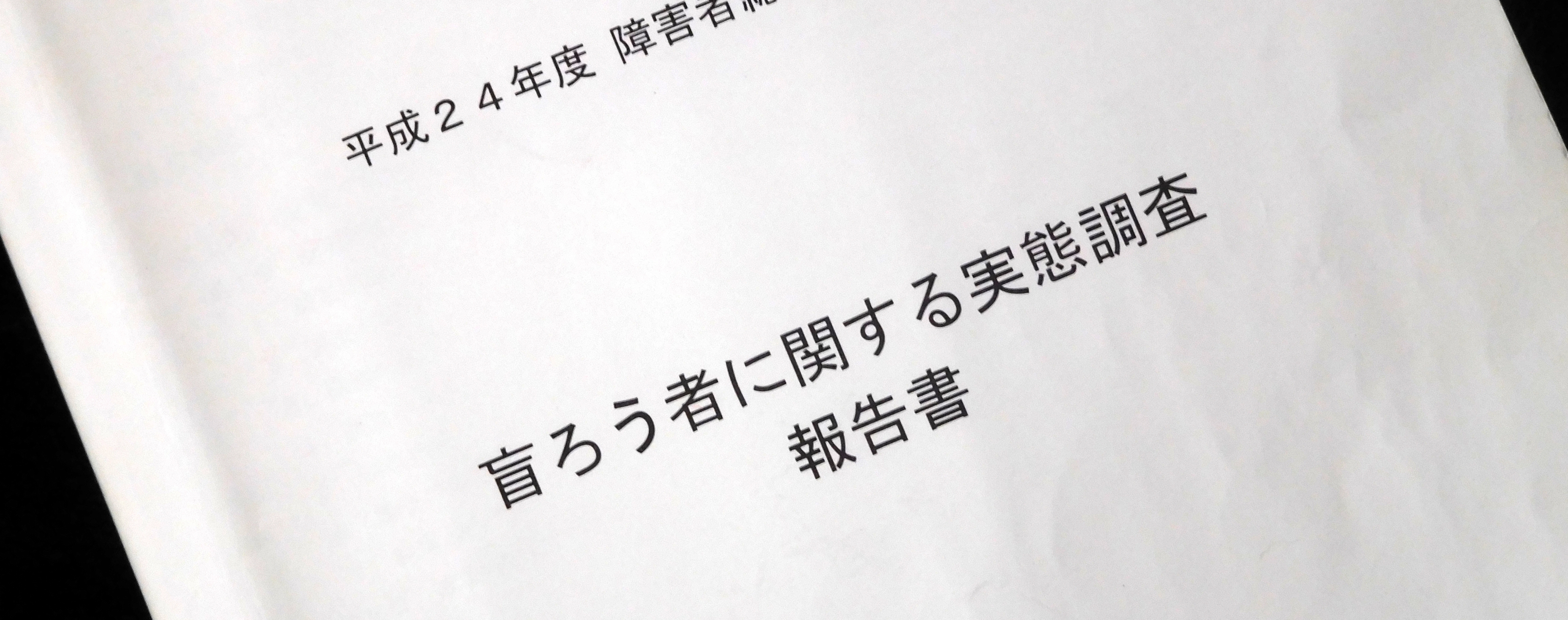 画像:H24盲ろう者に関する実態調査報告書